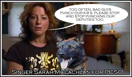 Sarah McLachlan and Axe Sarah McLachlan and Axe